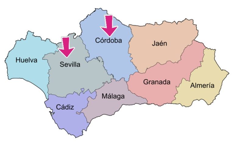 how to get to Cordoba from Seville seville to cordoba